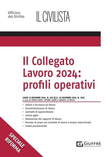 Il Collegato Lavoro 2024: Profili Operativi. Legge 13 Dicembre 2024 Nr.203
