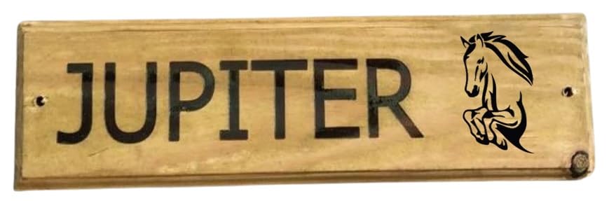 Furever Gifts Handmade Personalised Wooden Horse Stable Door Sign Various Designs 320mm x 100mm x 20mm (Horses Head 7 Tahoma Font) — image 1