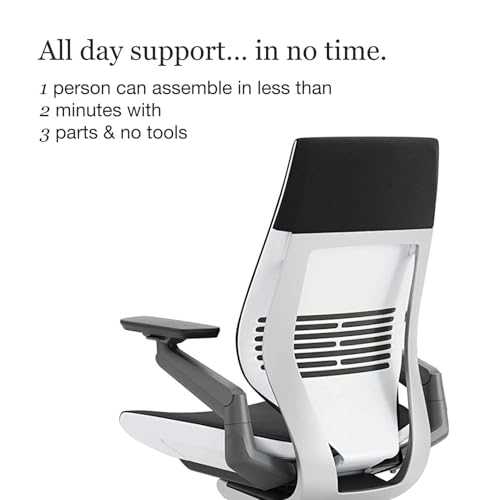 Steelcase Leap V2 chair