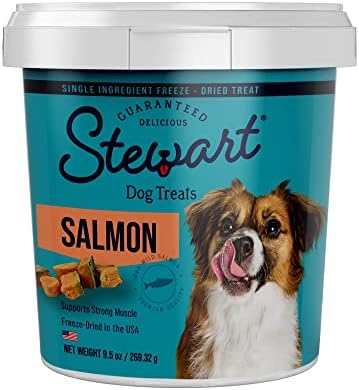 Stewart Freeze Dried Dog Treats, Wild Salmon, Healthy, Natural, Single Ingredient, Grain Free Dog Treat, Salmon Dog Treats, 9.5 Ounces, Resealable Tub