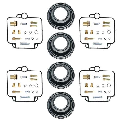 Kit Réparation Carburateur Moto Résout Fuite Flotteur Diaphragme RF400