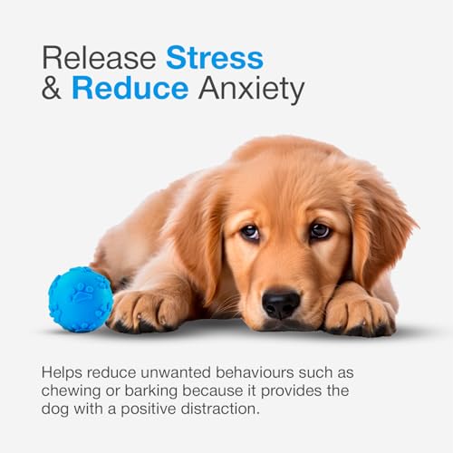 Image of Play Ball for Dogs | Durable Natural Rubber Squeaky Dog Toy | Cute Puppy Paw, Fetch & Chew Safe, Reduces Anxiety (Blue, Size 6cm)