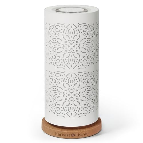 Earnest Living Difusor de aceites esenciales sin agua - Máquina nebulizante de 100 ml, difusor de aroma de metal con niebla fría, temporizador y luz de 7 colores - Para salón, oficina o espacios