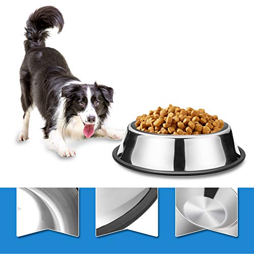 Rxyia Dog Bowl Stainless Steel Dog Bowl with Rubber Base for Small/Medium/Large Dogs,Kittens (Set of 2) (40oz) - Image 4