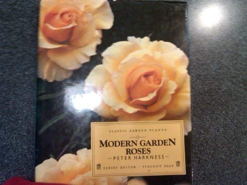 Modern Garden Roses (Classic Garden Plants) 0871067447 Book Cover