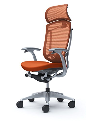 �I�J���� �I�t�B�X�`�F�A �R���e�b�T �Z�R���_ �Œ�I �G�N�X�g���n�C�o�b�N �E���^���L���X�^�[�d�l �N�b�V���� �I�����W���b�h CC47YE-FPD8