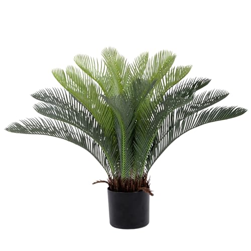 Bellacat 2ft UV Resistant Faux Sago Palm Tree with Natural & Lifelike Bark, 24in Super Full...