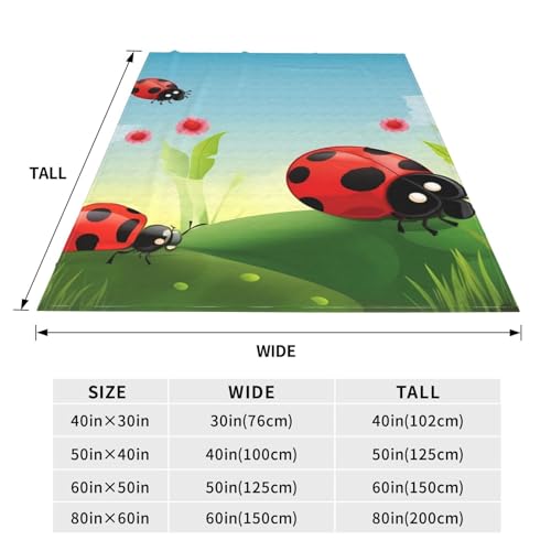 Couverture en micro polaire pour maison chambre canapé et bureau