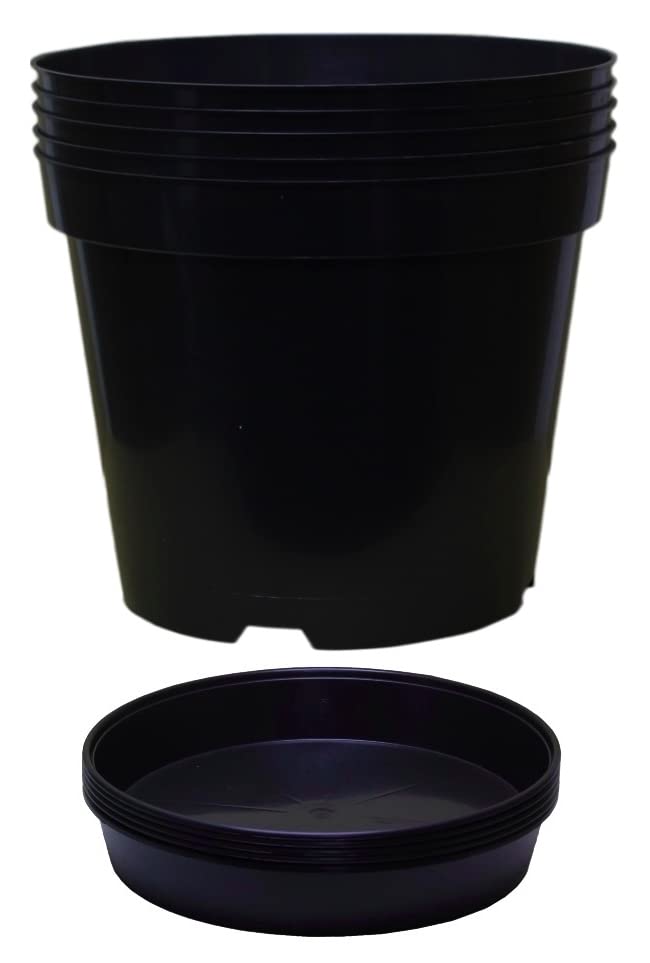 Muddy Hands Pack of 5 Black Plastic Plant Pots + Saucers - Outdoor Garden Round Nursery Herb Flower Planters Base Water Drip Trays (3 Litre)