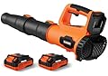 Leaf Blower, 21V Cordless Electric Blower with 2 2.0Ah Batteries and 1 Hour Fast Charger, Lightweight Leaf Blower for Patio Cleaning, Lawn Care, Blowing Fallen Leaves and Dust, etc.