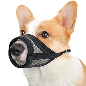 Mesh-Dog-Muzzle-to-Prevent-Biting-and-Chewing-Breathable-Adjustable-Muzzles-for-Small-Medium-Large-Dogs-Corgi-Labrador-Allows-Panting-and-Drinking Dog Muzzle to Prevent Biting and Chewing