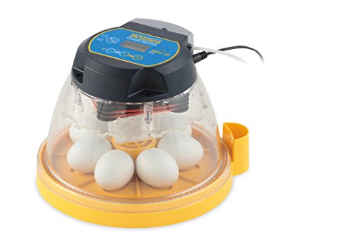 Couveuse Brinsea Mini II EX pour 7 œufs de poule et de canard -Fabriquée au Royaume-Uni, qualité supérieure, retournement entièrement automatique et...