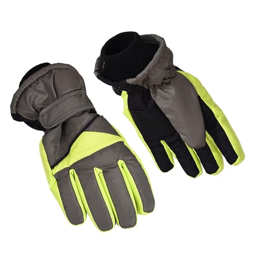 XL[  LbY O[u hh ~ j̎q ̎q ~O[u ~ߕt  lC XL[ Xm[{[h  V  (O[CFree)