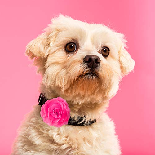 8 Pieces Dog Flowers Collar Pet Collar Flowers Dog Charms Flower 8 Cm Cat Flower Collar Pet Bow Tie Flowers For Dog Collar Cat Puppy Dog Collar Grooming Accessories (Assorted Color) #TOP4