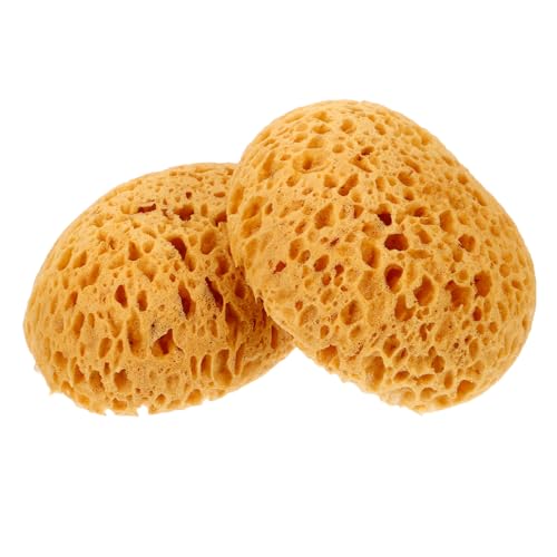 NULYLU Professional 2pcs Drywall Texture Sponge Ceiling Texture Sponge for Wall Repair