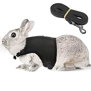 Bunny Rabbit Harness with Stretchy Leash Cute Adjustable Buckle Breathable Mesh Vest for Kitten Small Pets Walking (XL(Chest:12.5-15.7 in), Black)