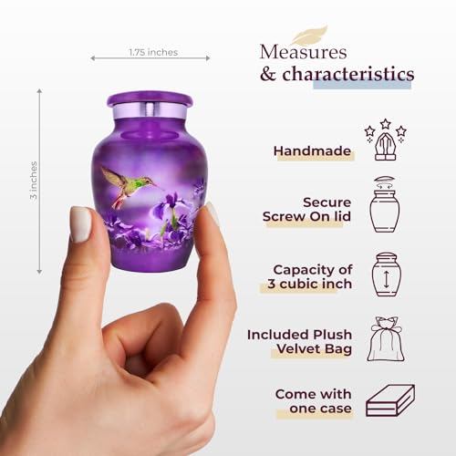 Image of Trupoint Memorials Small Urns for Human Ashes Keepsake, Decorative Mini Cremation Urn for Adult Men & Women - Small Hummingbird Keepsake
