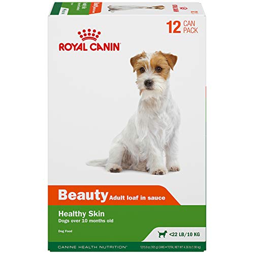 Royal Canin Canine Health Nutrition Adult Beauty In Gel Canned Dog Food, 5.8