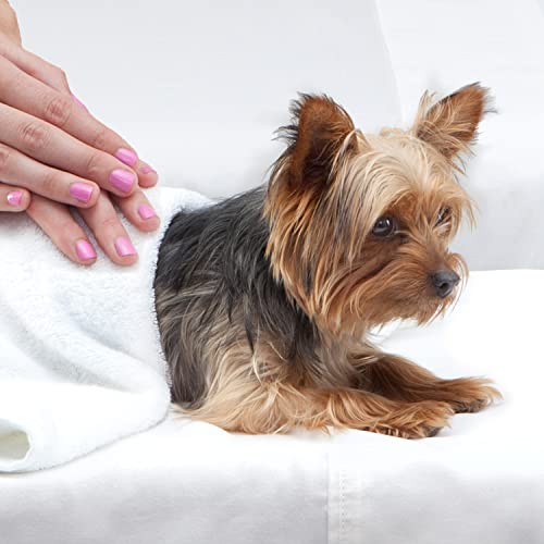 Fromm Small Breed Adult Gold Premium Dry Dog Food - Dry Adult Dog Food for Small Breeds - Chicken Recipe - 15 lb - Image 3