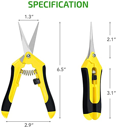 Tijeras de jardinería iPower 6.5 pulgadas 10 unidades miniatura 2