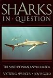 SHARKS IN QUESTION (Smithsonian Answer Books)