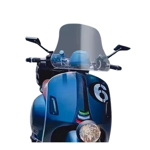 Spoiler d'extension pare-brise de qualité supérieure pour GTV6 Six Days
