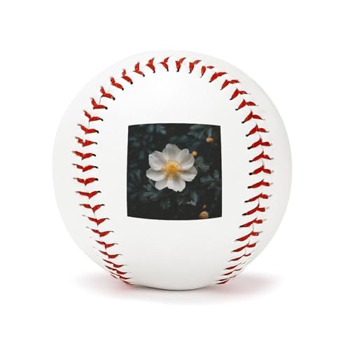 Balles de baseball de 22,9 cm entraînement lancer frappe terrain autographe
