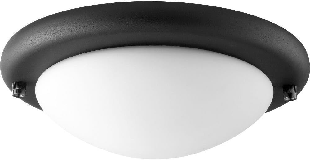Quorum 1141-869 Transitional LED Fan Light Kit in Bronze/Dark Finish,