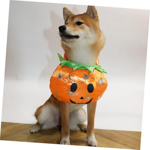 Disfraz para perro y gato calabaza Halloween tamaño pequeño miniatura 7
