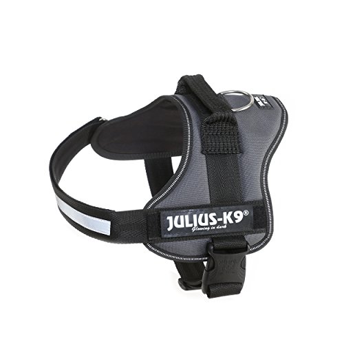 K9 Powergeschirr, Größe: XL/2, Anthrazit