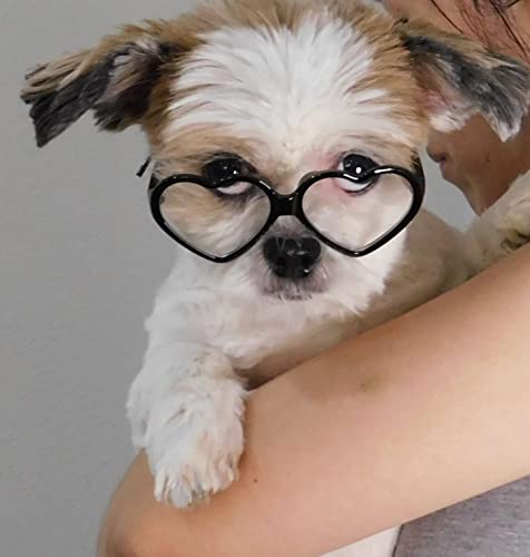 G028 Dog Cat Pet Heart Clear Lens Costume Glasses For Small Breeds Up To 15Lbs (Black-Clear) #TOP1