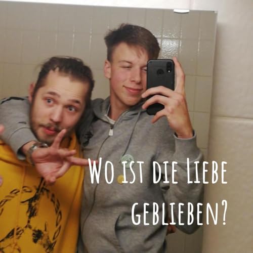 Couverture de Wo ist die Liebe geblieben?