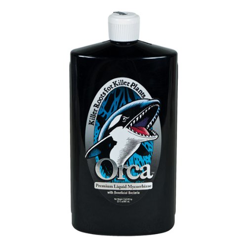 Plant Success Orca, qt