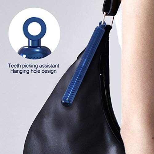 EXCEART 1 conjunto de palitos de dente longos profissionais de aço inoxidável, bolso reutilizável, f