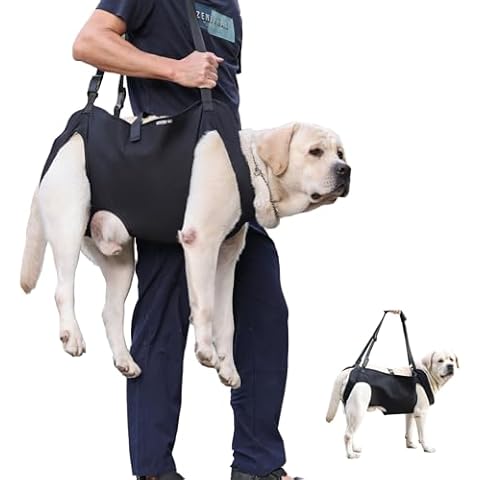 Dog Lift Harness for Large Dogs – XL Dog Sling Carrier with Handle for Hind Leg Support, Arthritis, Joint Injuries, Rehabilitation, and Assistance with Stairs, Cars, and Everyday Mobility Cover