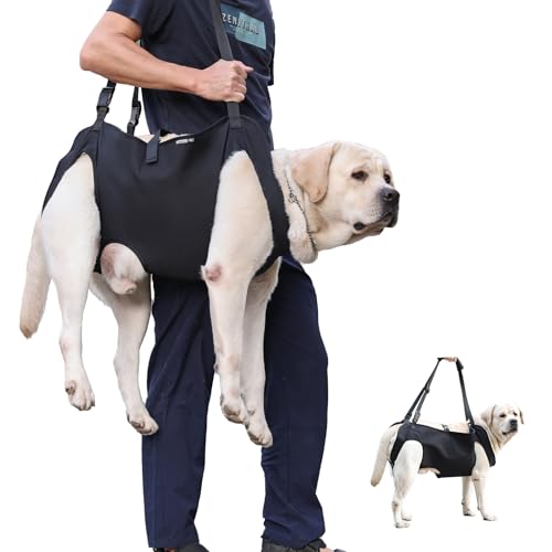 Dog Lift Harness for Dogs, Dog Sling Carrier with Handle for Hind Leg Support, Arthritis, Joint Injuries, Rehabilitation, and Assistance with Stairs, Cars (Ace-doglift-L)