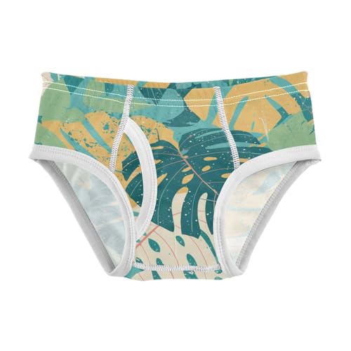 KLL Leaves Monstera Blots Boys Toddler Pure Cotton Boxer Briefs Cute Undies