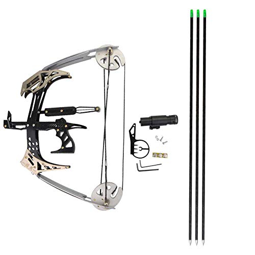 Sharrow Archery Mini Compound Bow And Arrows Set 25Lbs Hunting Bows For Adult Youth Shooting Fishing (Silver) #TOP13