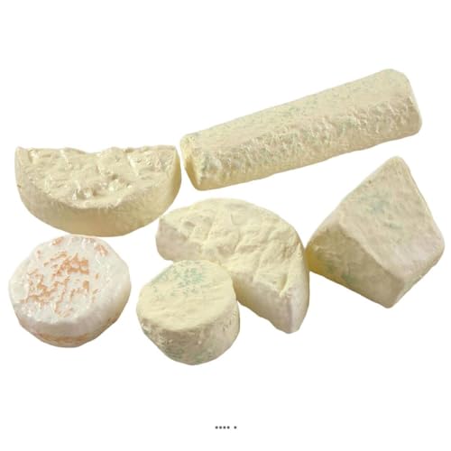 Artif-déco-mag.com - Assortiment de Fromages Français X 6 en Plastique soufflé L 55-150 mm