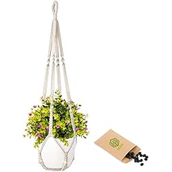 Maceteros Colgantes Invertidos Seed Macetero Colgante + Semillas de Regalo - Maceteros Colgantes - Soporte para Plantas - Macrame Colgante - Maceteros Macrame - Macetero Uso Interior