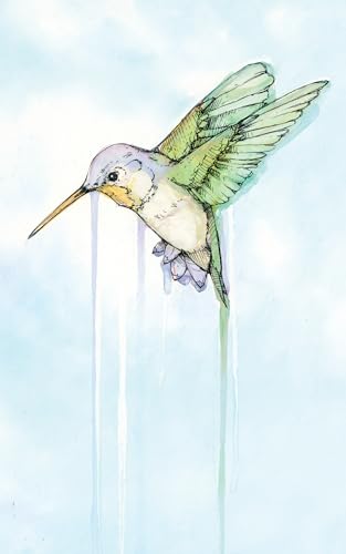Hummingbird view 2