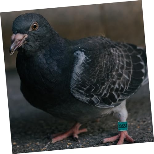 Parliky 50 peças de faixas de perna de pombo de identificação de pássaros para anéis de pé de pombos