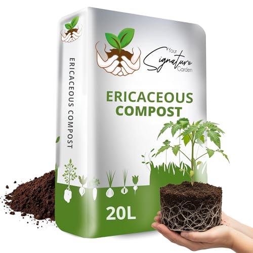 Laeto Ericaceous Compost | Organic Acidic Potting Soil for Outdoor Plants | Ideal for Azaleas, Rhododendrons, Blueberries, Camellias & Citrus | Recyclable Bag 20L