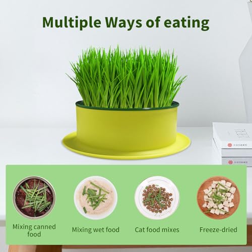iNextStation-Cat-Grass-Planter-3Pcs-Hydroponic-Cat-Grass-Box-Plastic-Catnip-Cat-Grass-Growing-Kit-Soilless-Culture-Planting-Container-for-Outdoor-Cat-Dogs-and-Other-Pets