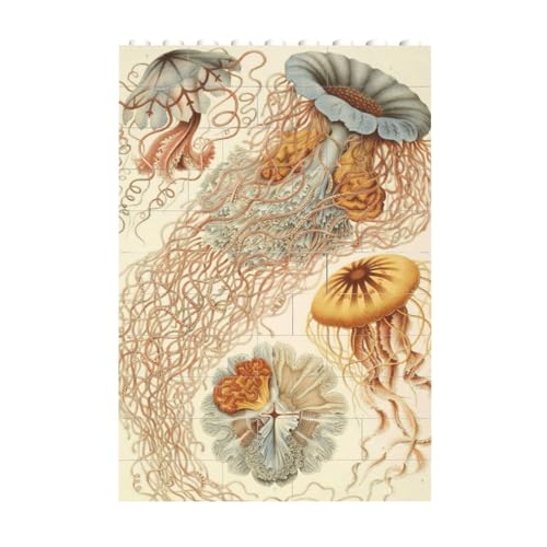 AeB[N NQ ςݖ؃pY mߋ NX}X  l q a NX}X 10.8cm×7.2cm