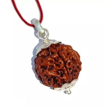 All Stone Nepali 7 Mukhi Rudraksha Original Certified Holy Beads with Silver Capping Seven Mukhi Rudraksha Blessed by Maa Laxmi Real Saat Mukhi Rudraksha for Women & Men.