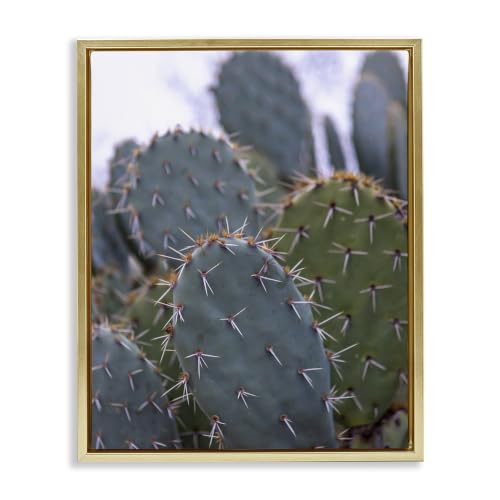 Prickly Cactus Thorns Desert, 24 x 30 Inch Canvas in Floater Frame