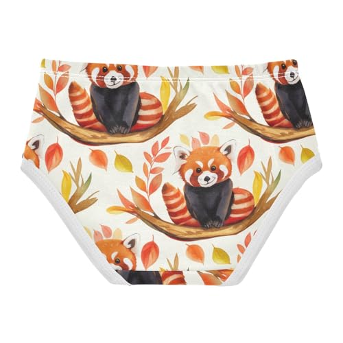 Colorful Toddlers Underwear Floral 2t Cotton Cute Panties Girl Cute Pandas Beige Animal Underpants Briefs2