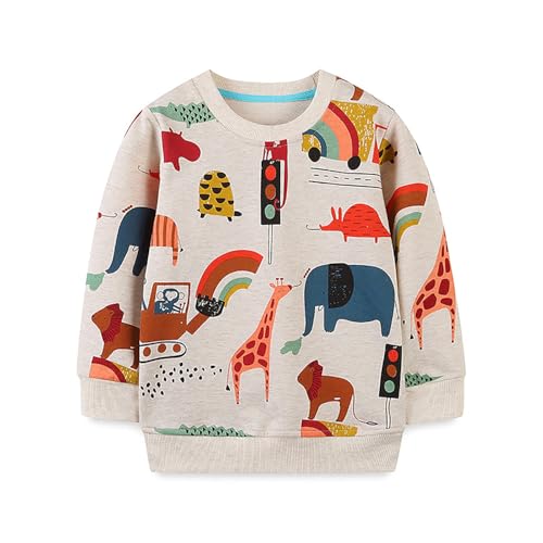Boys Sweatshirts Casual Sweatshirts Cotton Sweatshirts Long Sleeve T-shirts Crew Neck Cartoon Tops for Boys-309