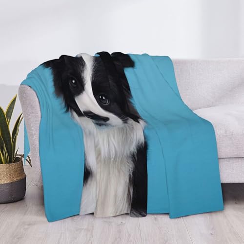 Couverture flanelle Border Collie super douce toutes saisons - 5